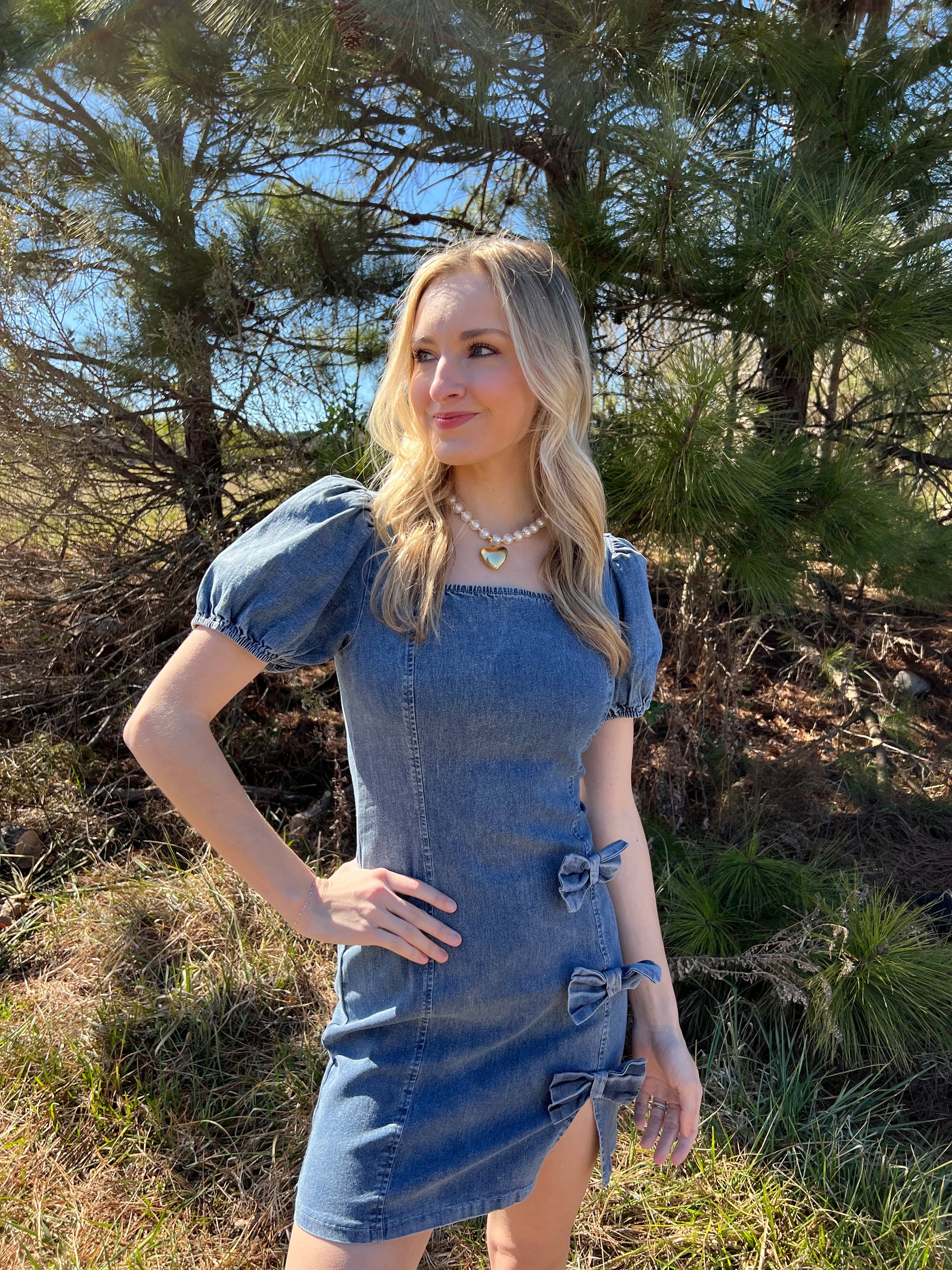 Bree Mini Dress- SMALL