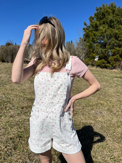 Clarke Overalls