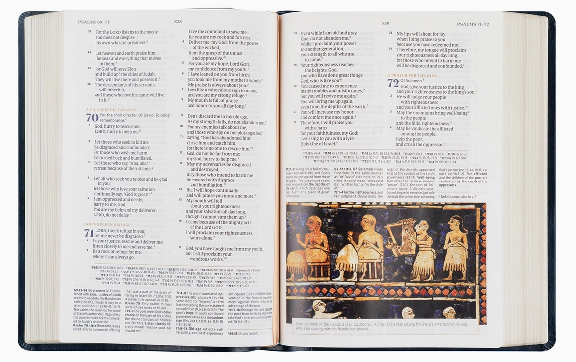 CSB Women's Study Bible: Versailles