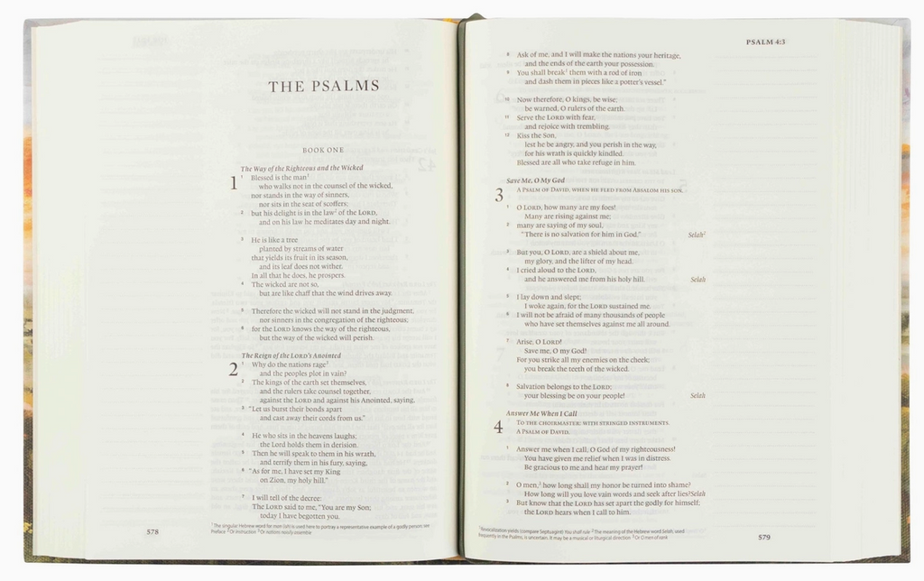 ESV Notetaking Bible: Florence