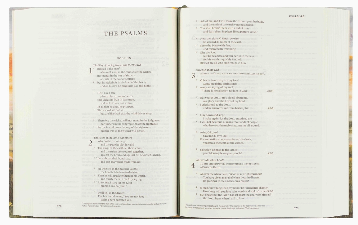 ESV Notetaking Bible: Florence